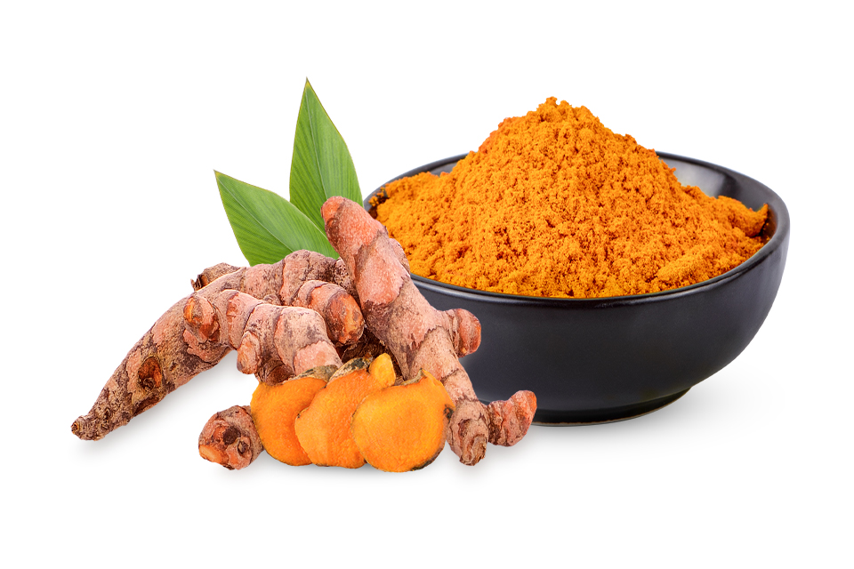 turmeric indusridge global exporter
